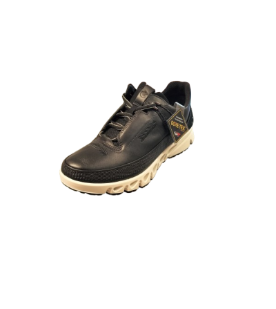 Ecco GORE-TEX 2